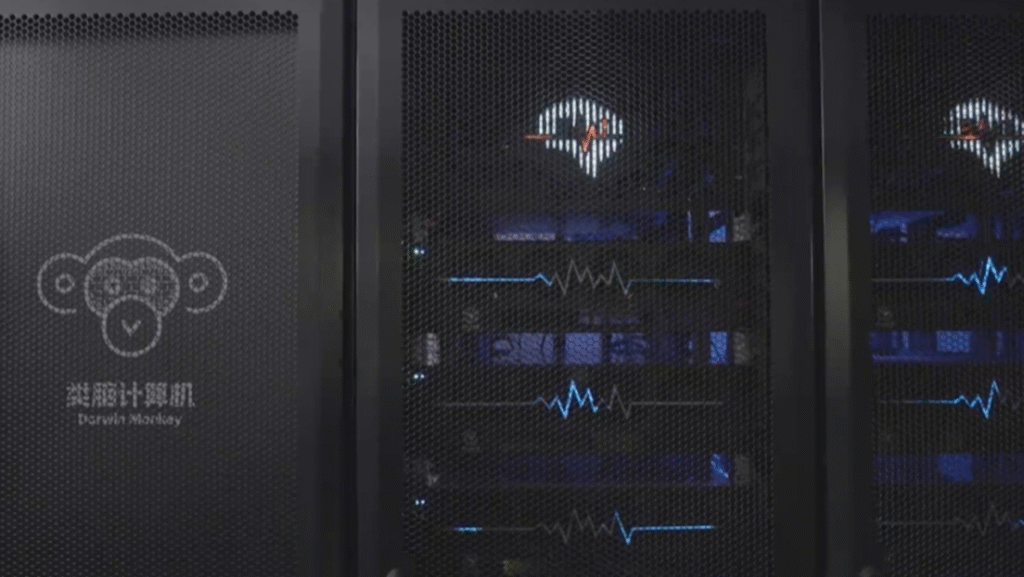 Revolución en la IA: la primera computadora que imita el cerebro de un macaco ya está aquí