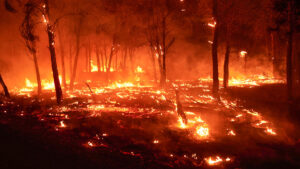 España sufre masivos incendios forestales
