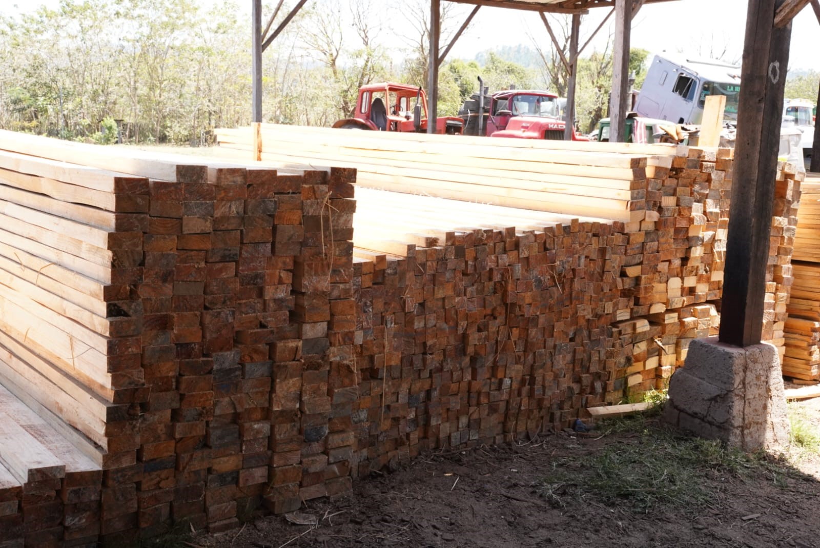 Batallón Ecológico Bosawás decomisa más de 26 mil pies tablares de madera en 2025