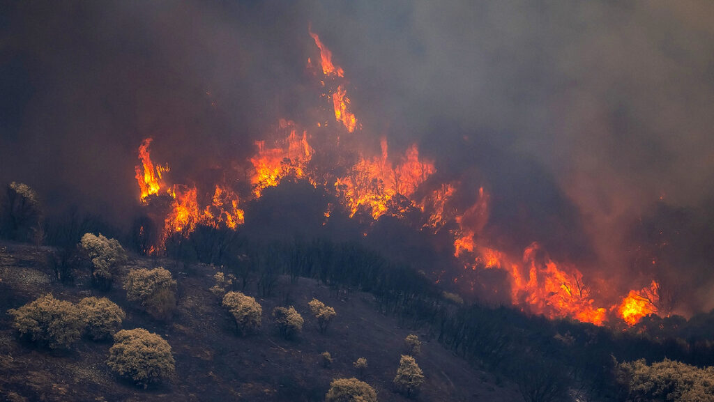 España enfrenta el incendio forestal más grande de su historia