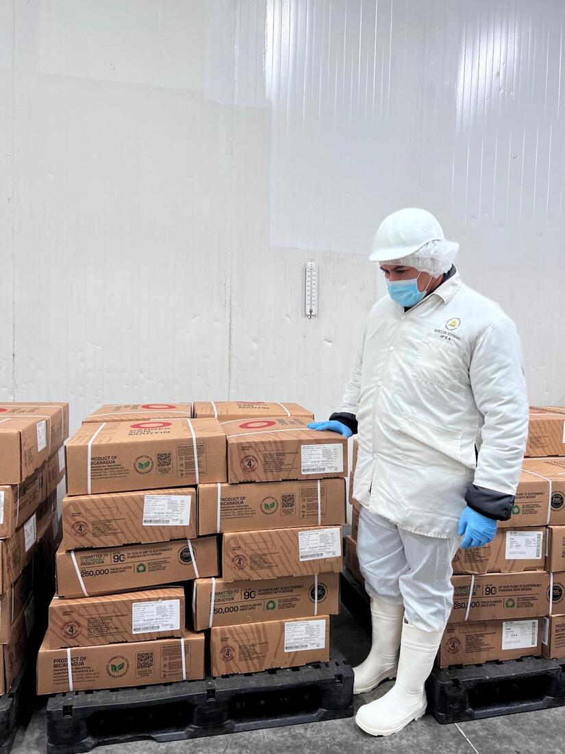 Sale hacia China otro contenedor con más de 21 mil kilos de carne bovina nicaragüense