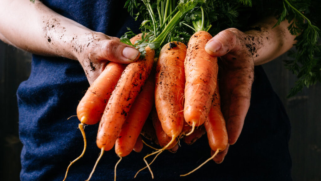 Este reputado vegetal podría ser el culpable de la disfunción eréctil