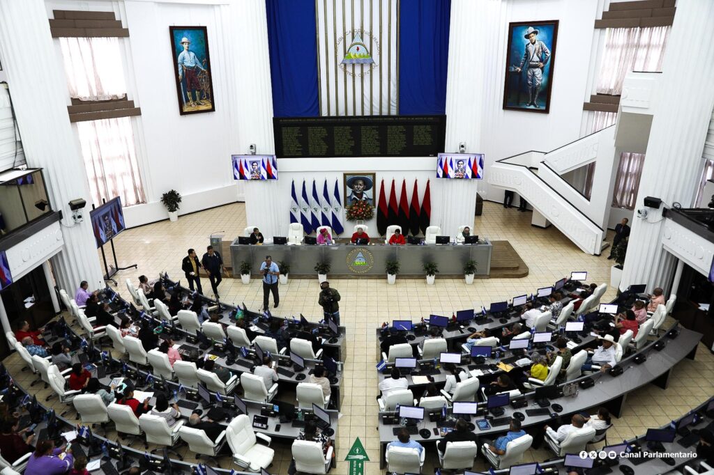 Parlamento aprueba reforma constitucional para nombrar a dos “Jefes de las Fuerzas Policiales”