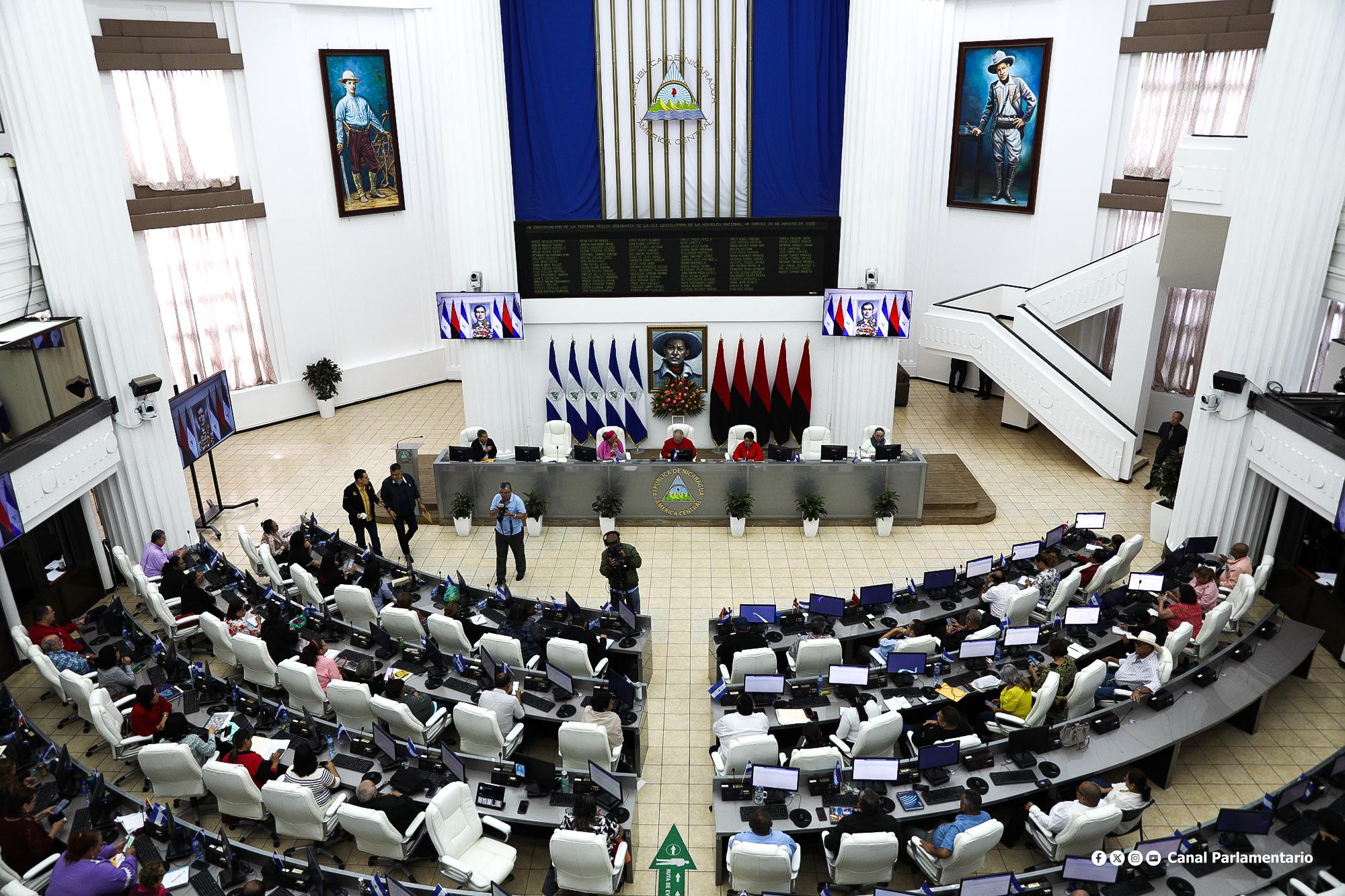 Parlamento aprueba reforma constitucional para nombrar a dos “Jefes de las Fuerzas Policiales”