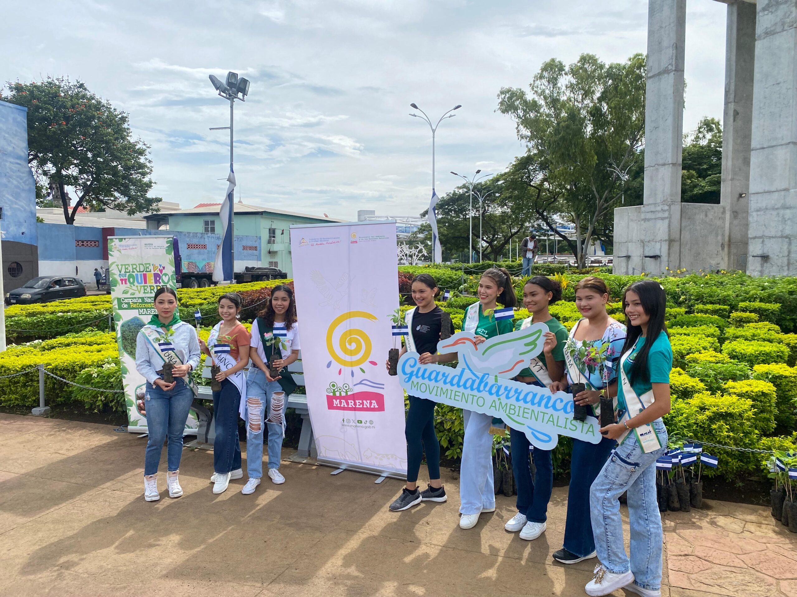 Ambientalistas entregarán 5 mil árboles de madroño en saludo al Mes Patrio