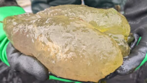 Revelan qué son los 'osos de goma malditos' hallados en un lago de EEUU