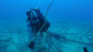 Microsoft: Se cortaron varios cables submarinos internacionales en el mar Rojo