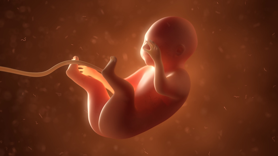 Caso extremadamente raro: extraen dos “gemelos parásitos” del abdomen de una bebé