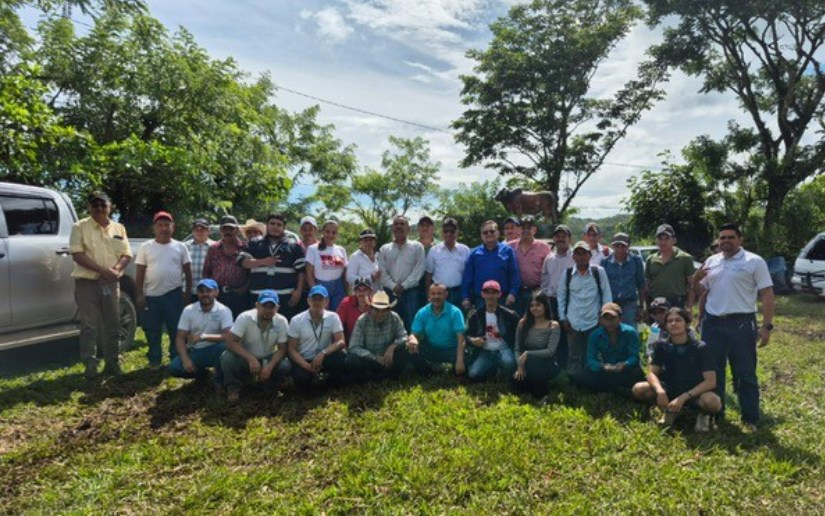 IPSA fortalece la vigilancia sanitaria con ganaderos