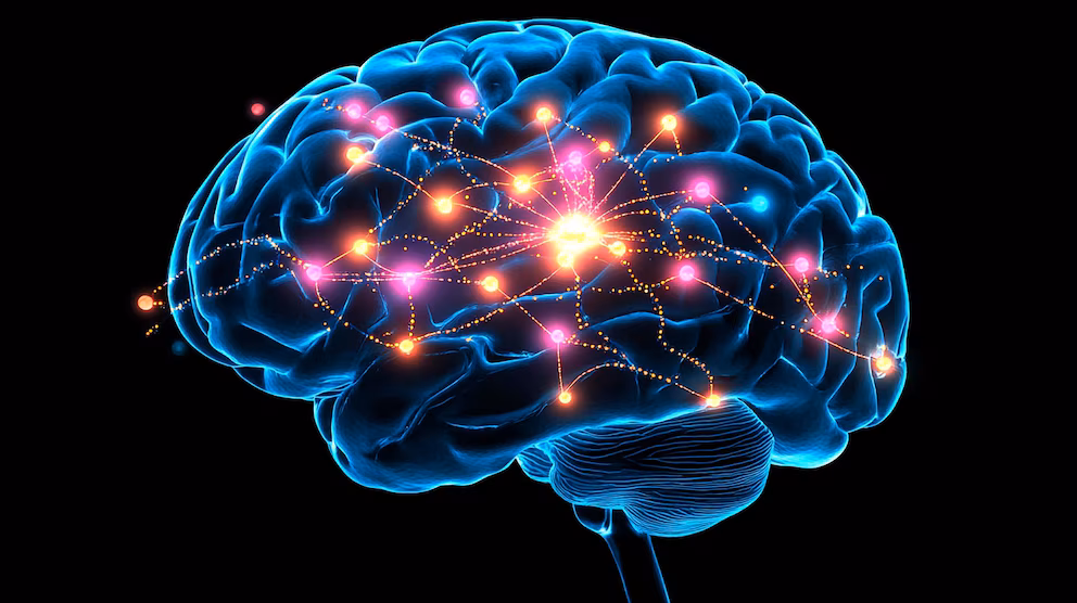 La depresión y el consumo de alcohol pueden afectar la formación de neuronas nuevas, según un estudio