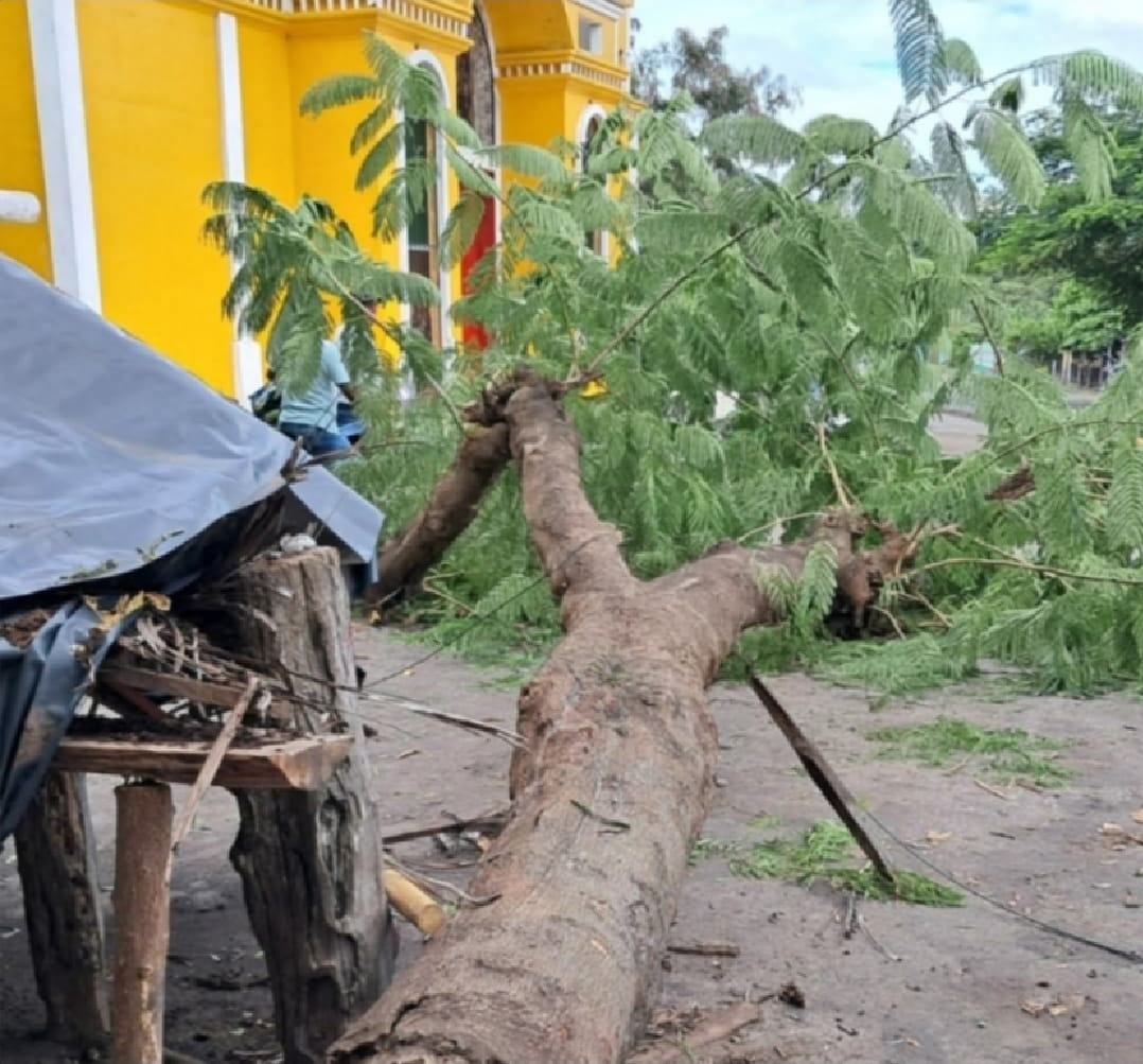 Frondoso árbol mata a un niño que estaba de vacaciones en Ometepe