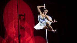 Acróbata sufre caída mortal en plena función de circo