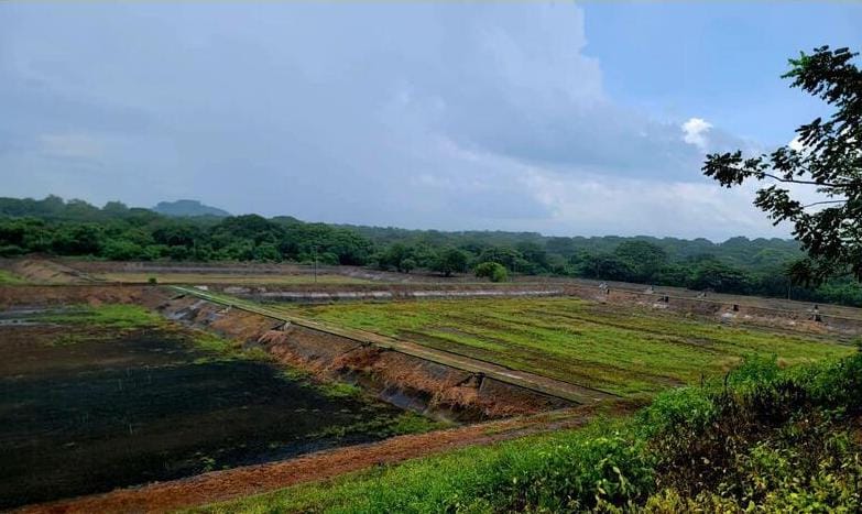 29 millones de litros diarios de aguas residuales procesarán plantas depuradoras en León