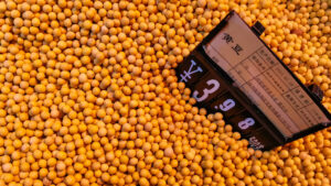 China da la espalda a la soya de EE.UU. y apuesta en grande a un país suramericano