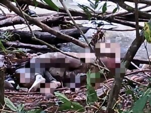 Hombre es hallado muerto a orillas del río Siquia, en Chontales