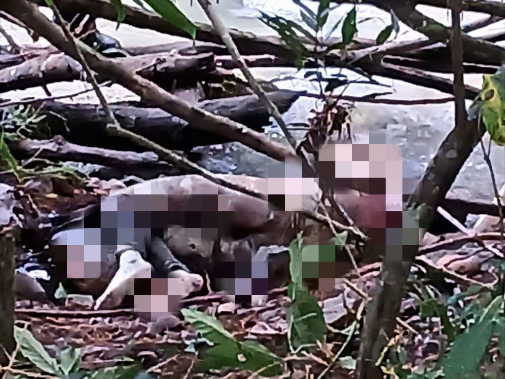 Hombre es hallado muerto a orillas del río Siquia, en Chontales