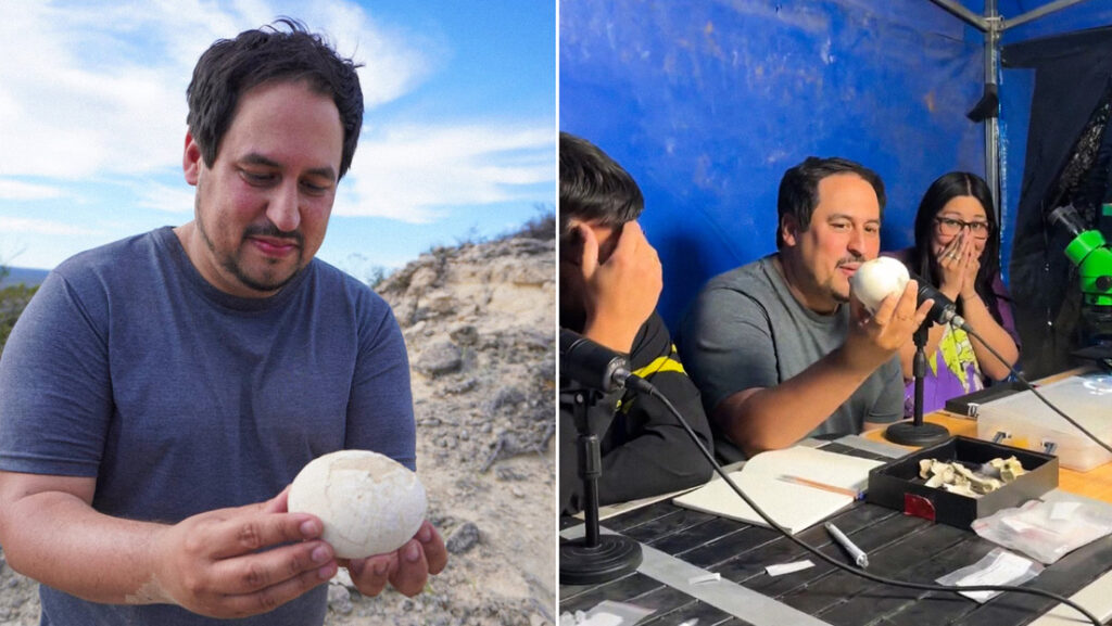 "¡Es una locura total": Encuentran un huevo de dinosaurio carnívoro en Argentina