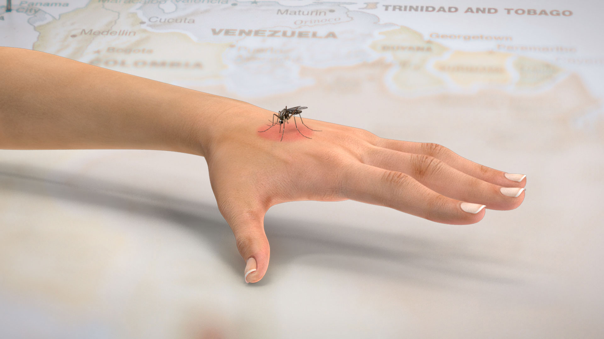 Confirman caso positivo de fiebre amarilla en Costa Rica
