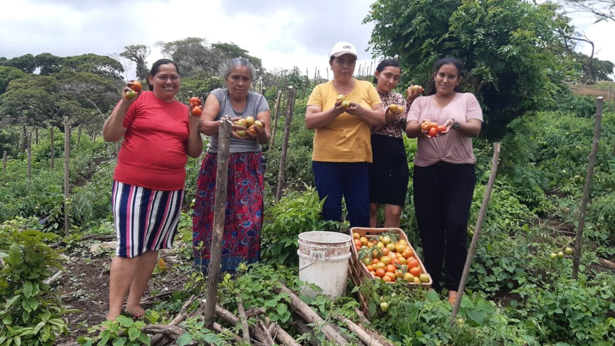 Asamblea Nacional conmemora el Día de la Mujer Rural resaltando las políticas de restitución de derechos