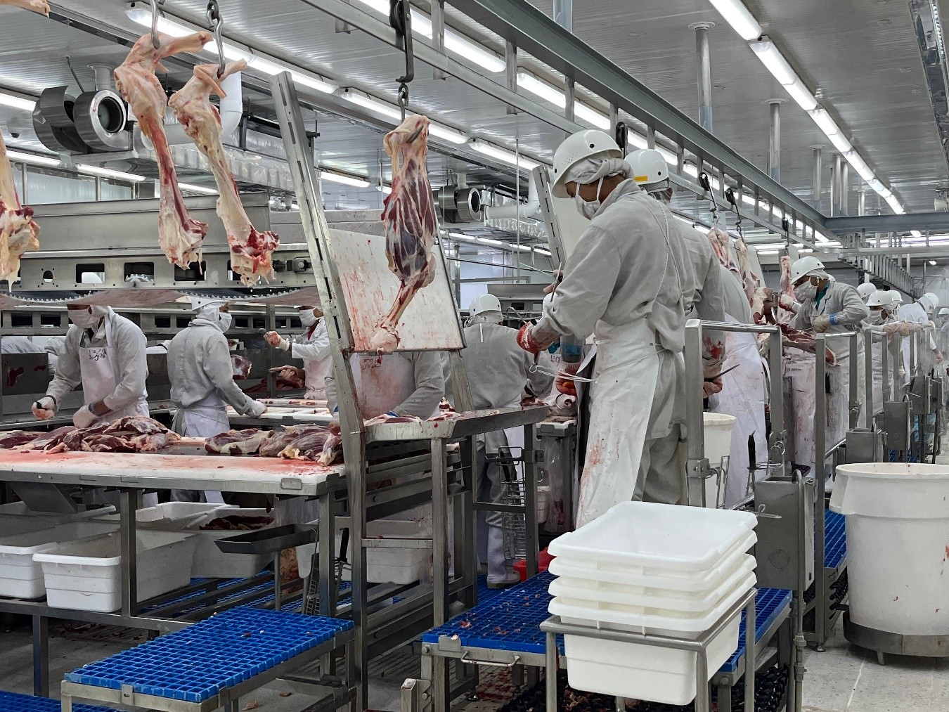 Nicaragua reporta 304.4 millones de libras de carne bovina producidas hasta septiembre
