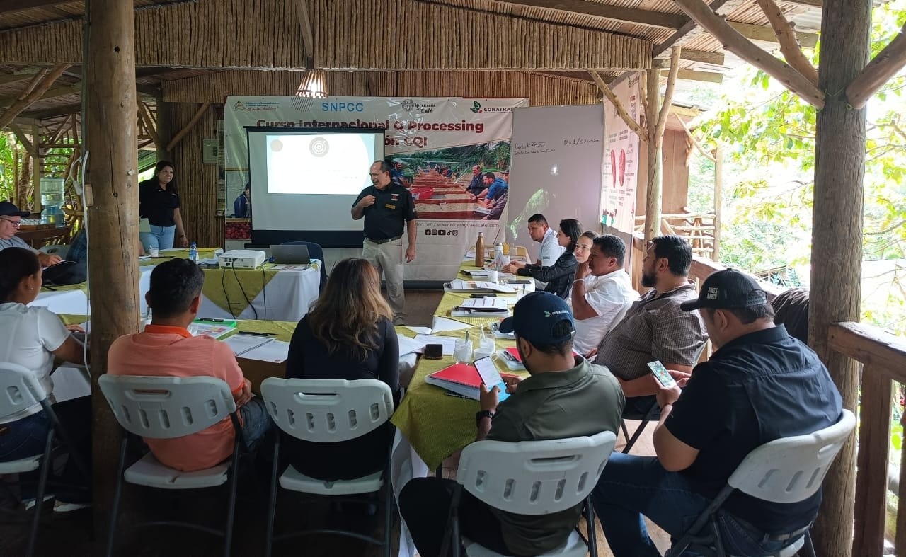 Gobierno nicaragüense impulsa la gestión de la calidad del café y su procesamiento