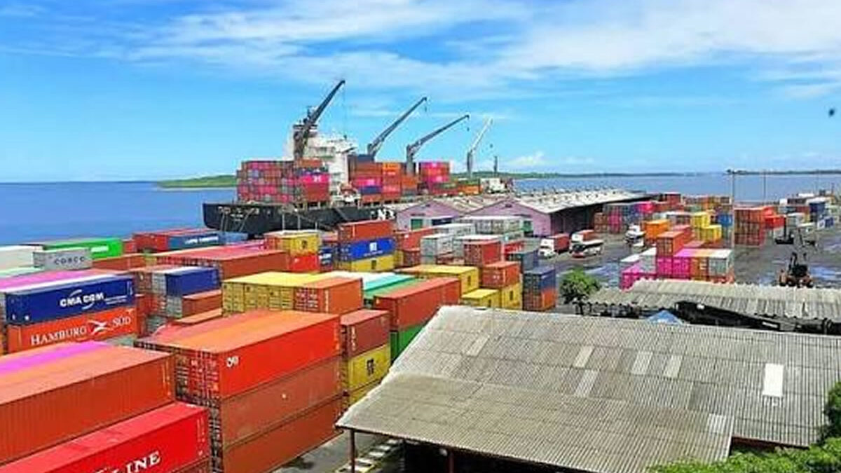 Productores nicaragüenses incrementan a 150 toneladas las exportaciones de café a China