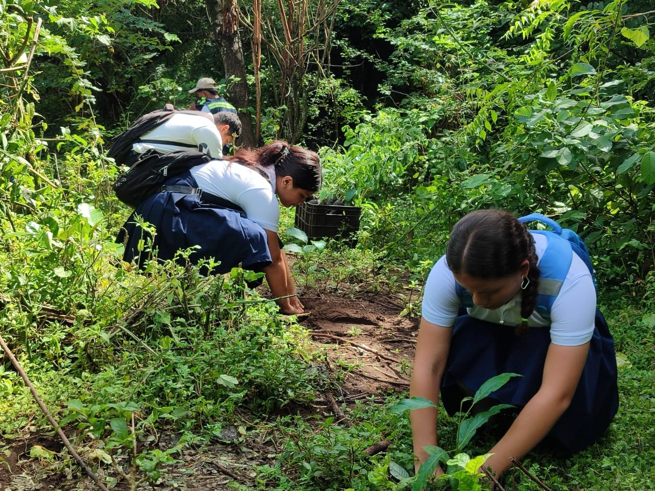Marena reporta 282 mil 390 plantas sembradas en León en 2025