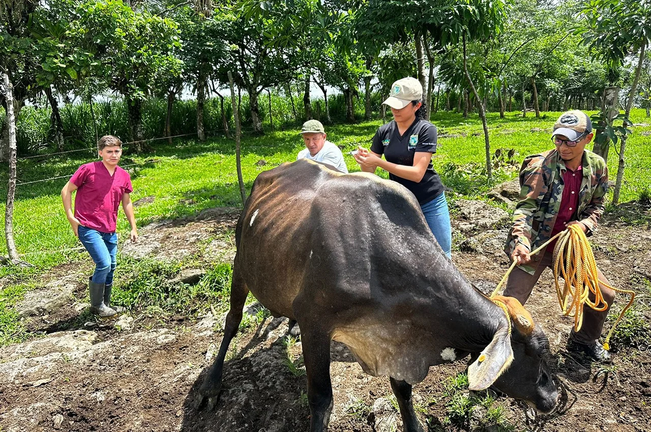 Universidad en el Campo garantiza educación gratuita a más de 38 mil estudiantes