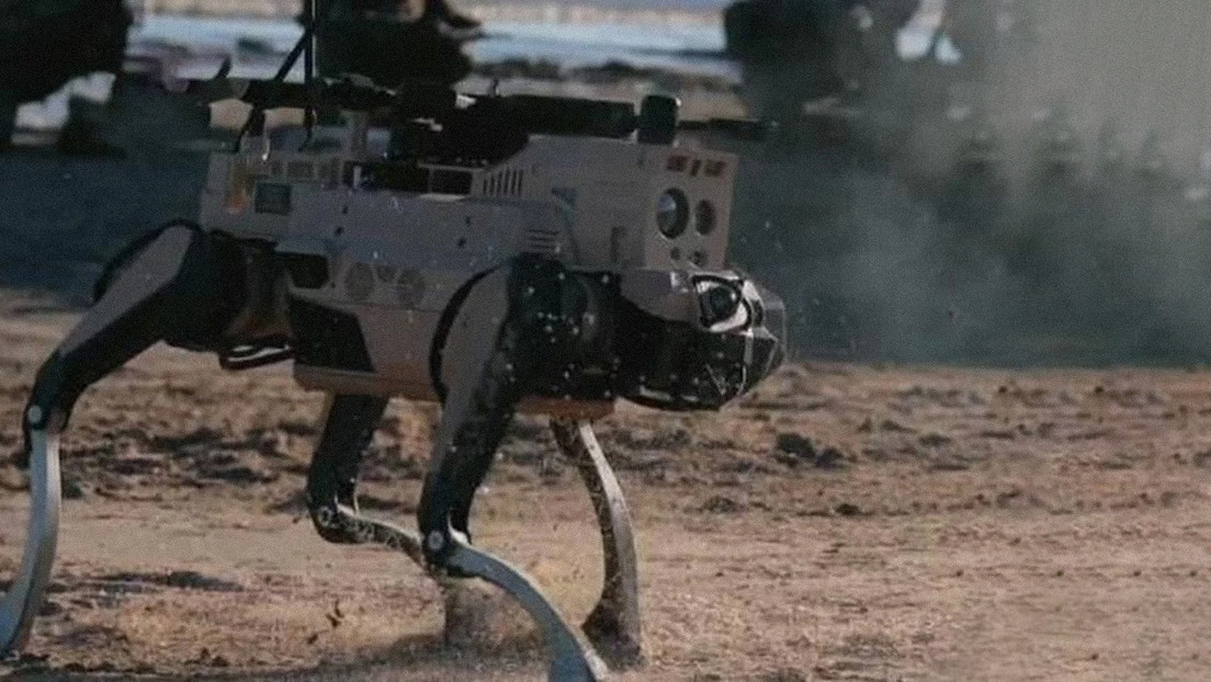 China ensaya un desembarco anfibio con perros robóticos en primera línea