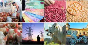 Con la instalación de las Zonas Económicas Especiales, la historia económica de Nicaragua tendrá un antes y un después