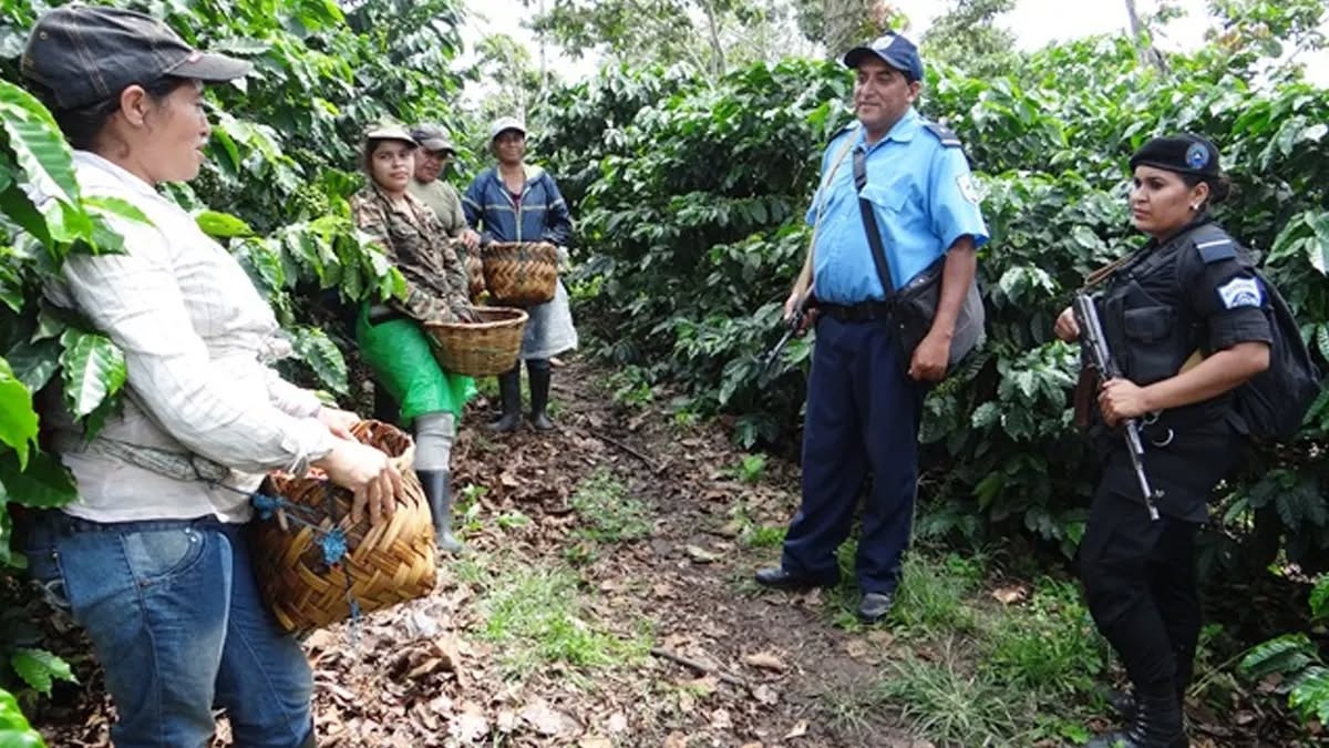 Capturan a 56 sujetos por delitos de peligrosidad a través del Plan de Seguridad en el Campo