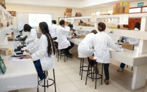 Moderno laboratorio de Anatomía de la Madera facilita el vinculó de la ciencia con la naturaleza en la UNA