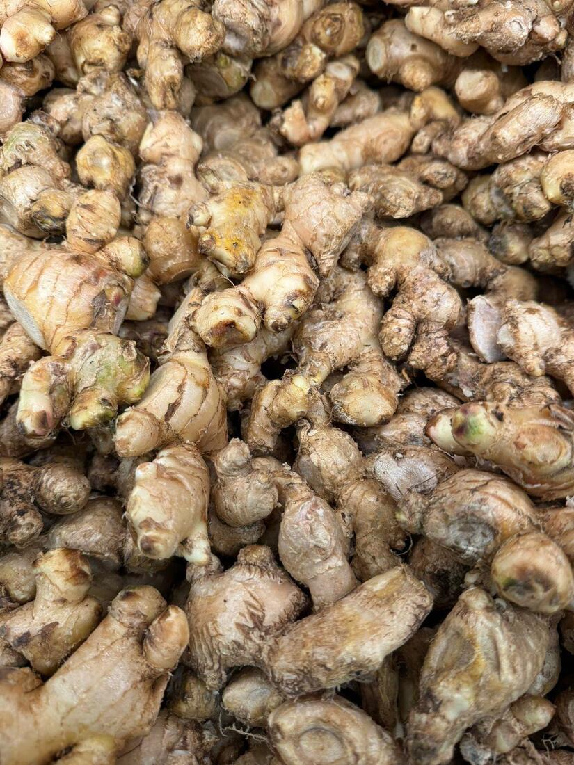 Nicaragua con una producción de más de 190 mil libras de jengibre en dos meses