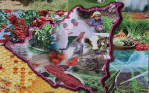 Nicaragua supera el 84% de las metas de exportaciones previstas para 2025