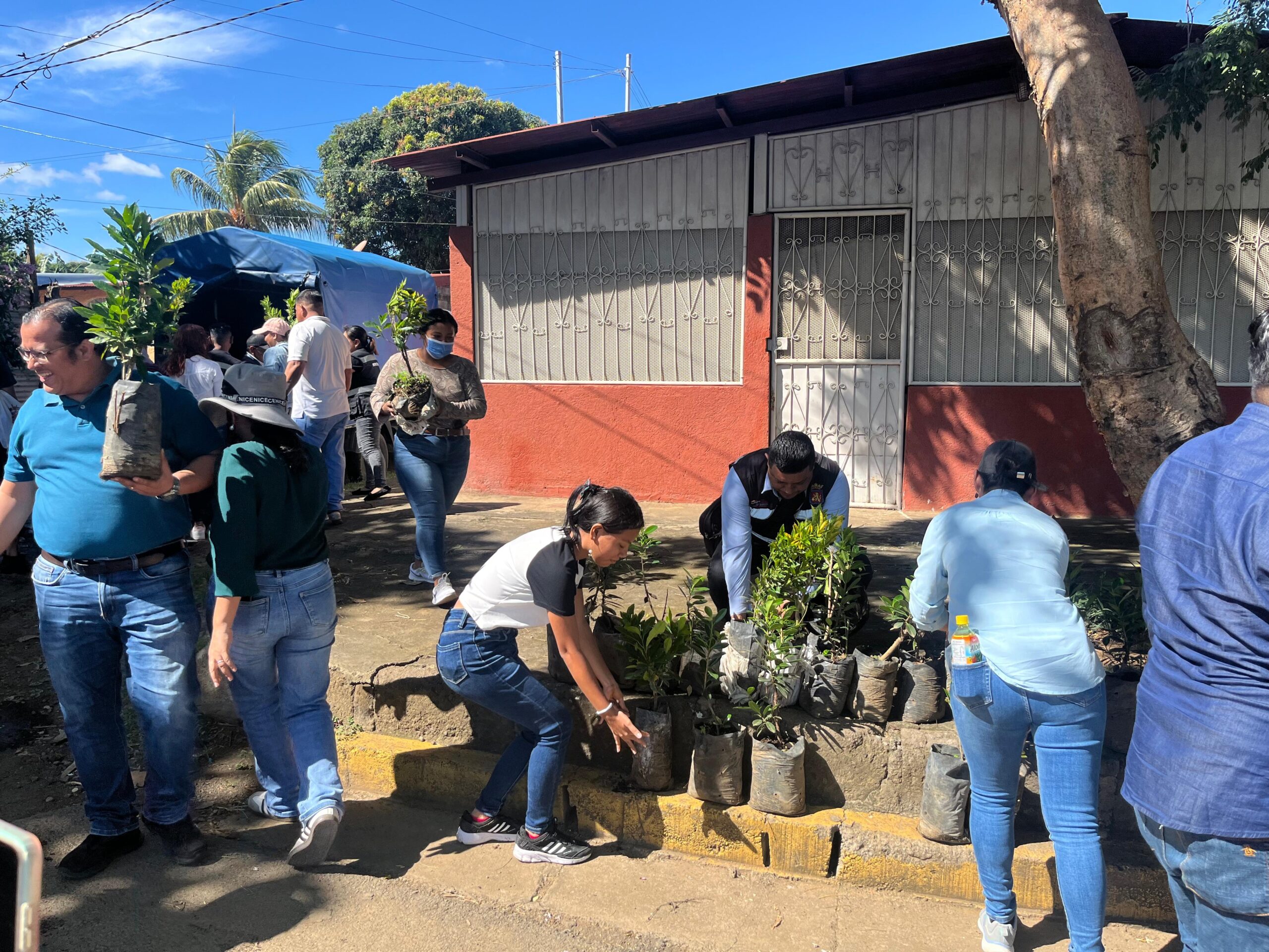 Comuna capitalina continúa campaña de reforestación y eliminación de botaderos de basura ilegales