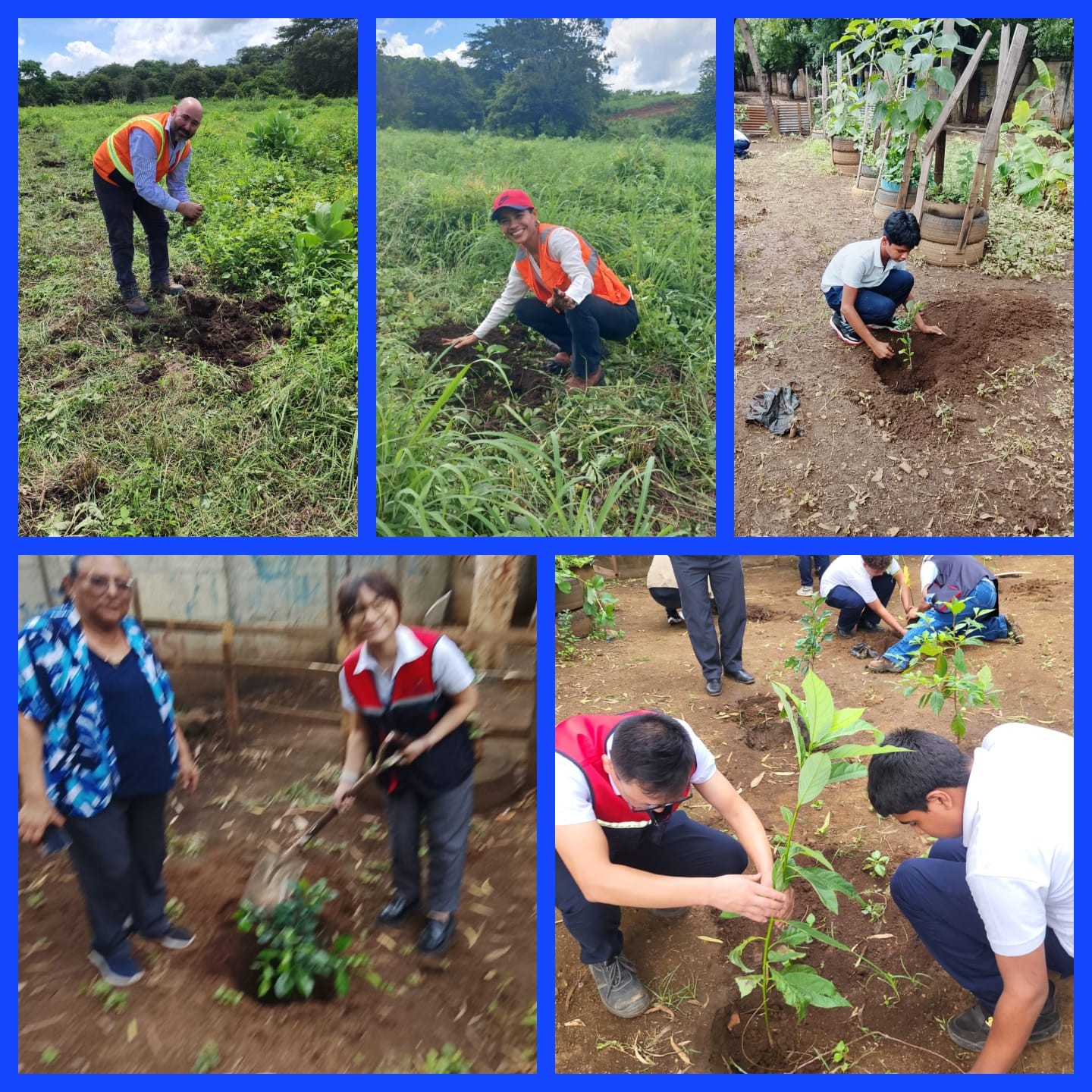 Siembran en Managua 4 mil 500 árboles frutales y ornamentales en 2 meses