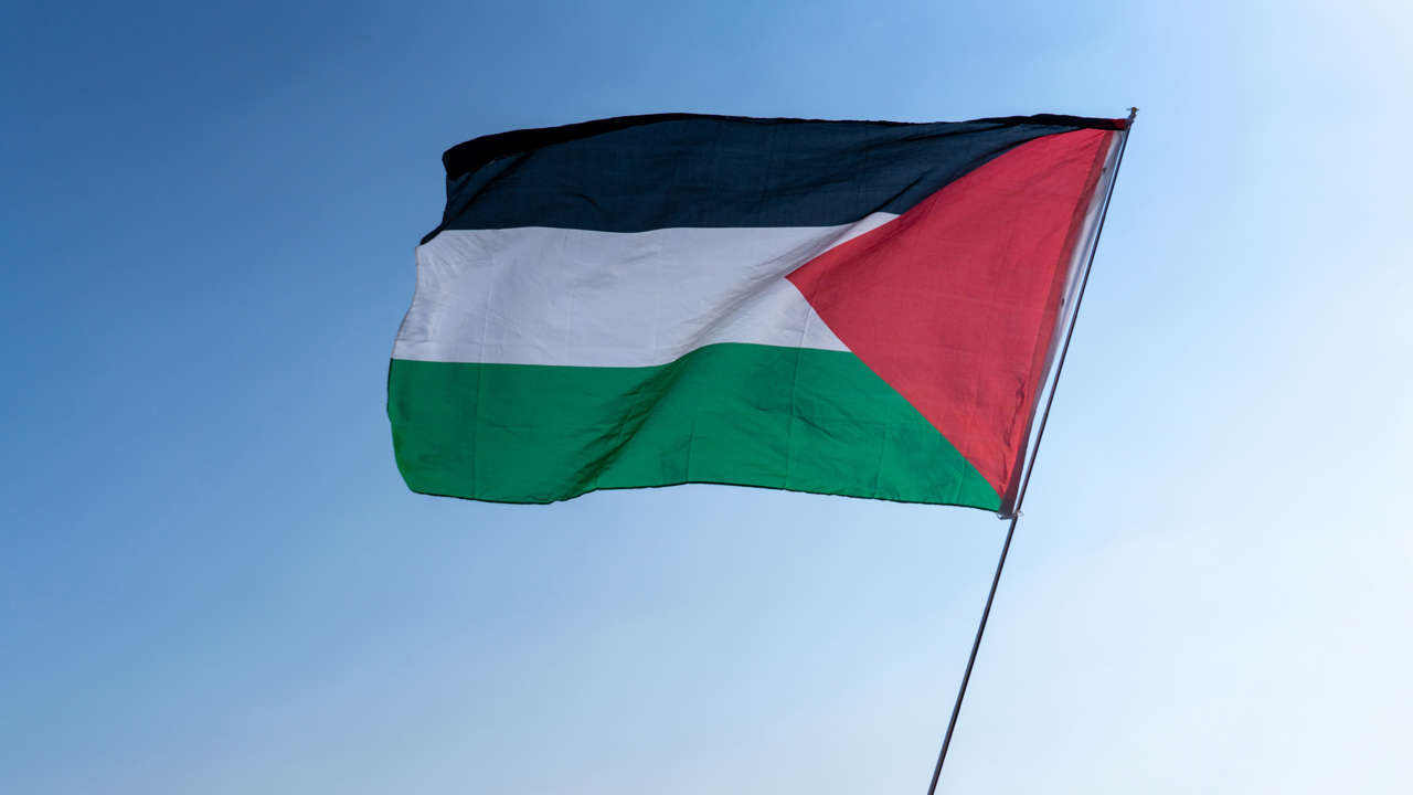 Colocan 400 camisetas blancas por asesinados en Gaza
