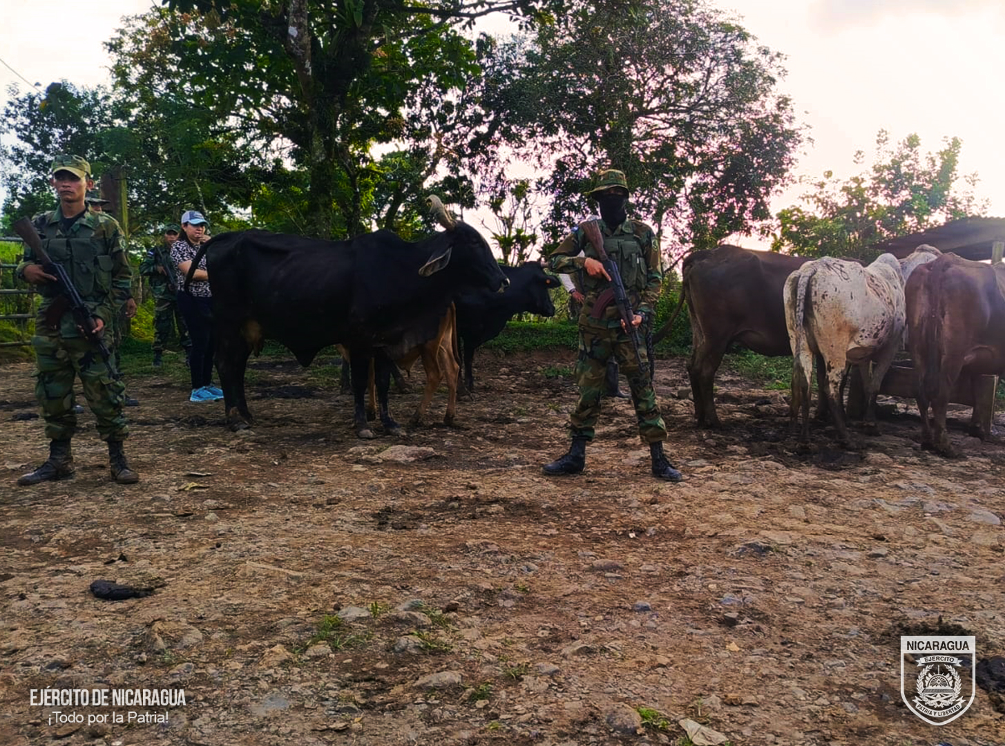 El Ejército de Nicaragua retuvo a seis personas por abigeato y tenencia ilegal de arma