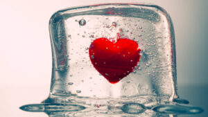 Criopreservación de órganos sin dañarlos: lo que parecía ciencia ficción podría hacerse realidad