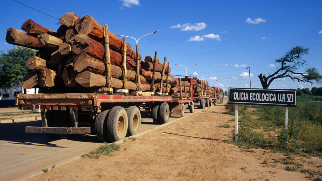 El lujo en Europa que se paga con el expolio ilegal del 'oro rojizo' en Suramérica