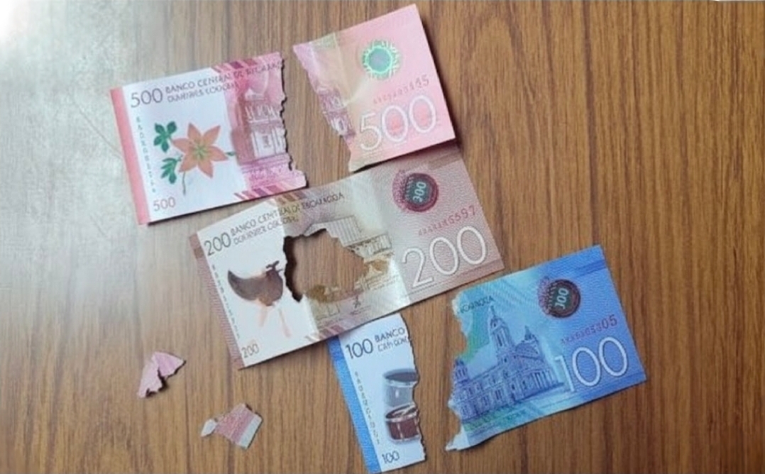 Billetes y monedas dañadas pueden ser cambiadas en el BCN y sucursales bancarias sin costo