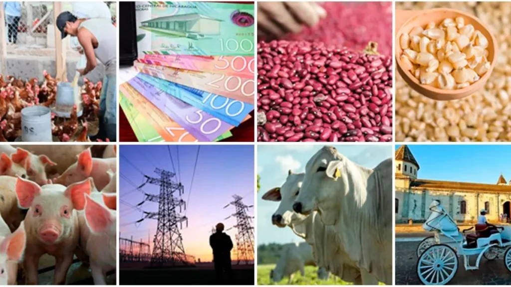 Reforma al presupuesto 2025: Nicaragua aumenta ingresos en C$7,394 millones por mayor recaudación tributaria