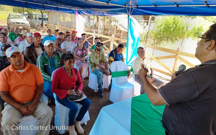 INTA capacita a productores ganaderos en pasto alternativo