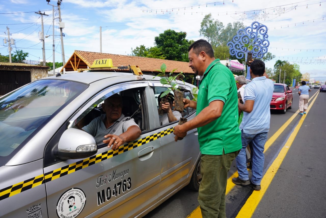 Marena promueve la reforestación con la entrega de mil 650 plantas de madroño