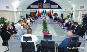 Directiva de la Asamblea Nacional se reúne con delegación de Argelia