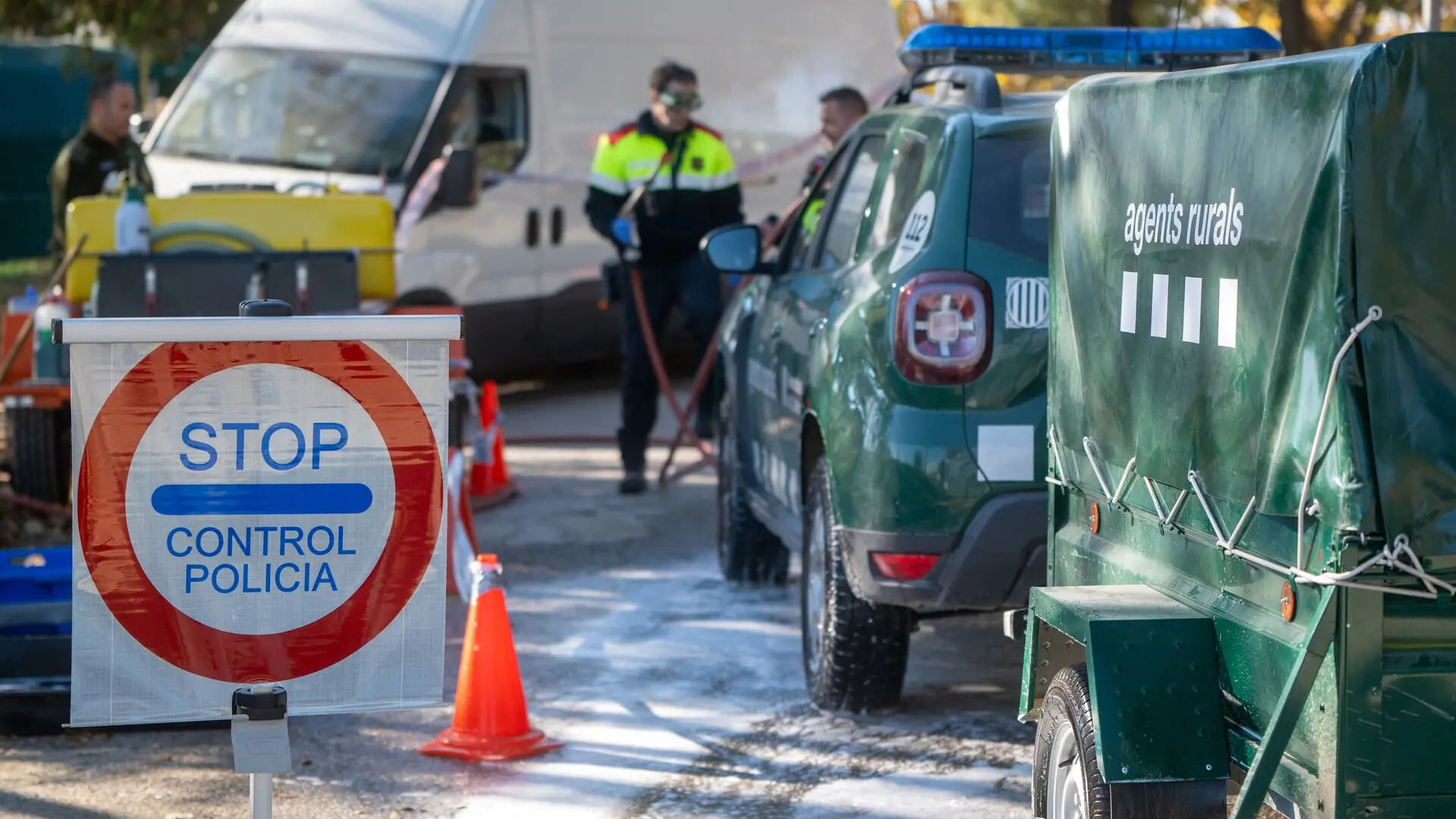 Cataluña declara estado de emergencia por brote de peste porcina africana