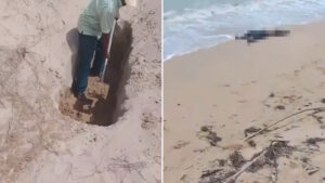 Petro urge identificar a lancheros enterrados en Colombia que habrían sido "bombardeados" en el Caribe