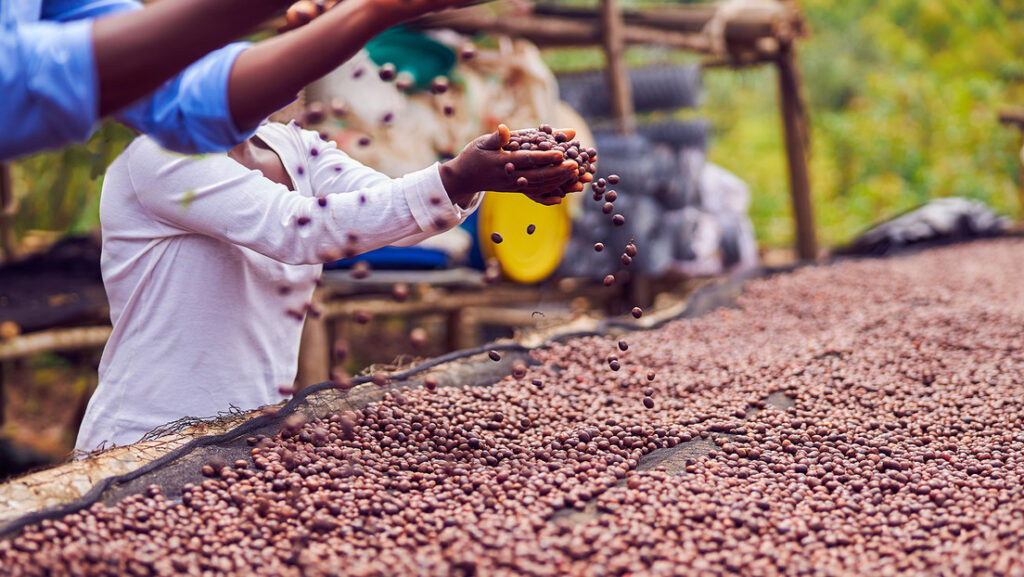 Emerge un nuevo 'rey del café'