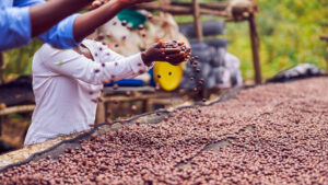 Emerge un nuevo 'rey del café'