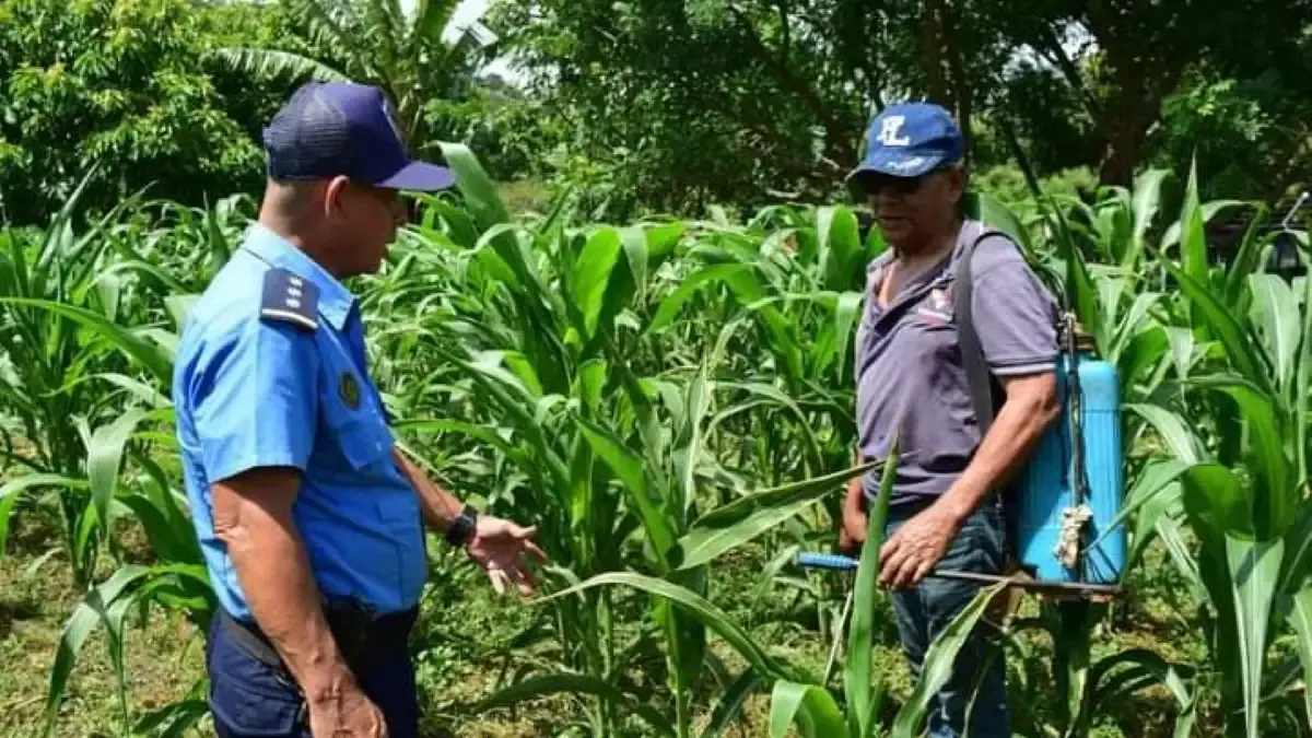 Treinta delincuentes puestos tras las rejas a través del Plan de Seguridad en el Campo
